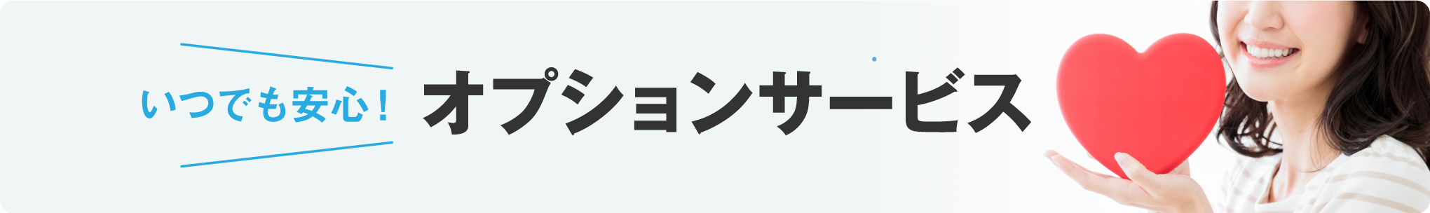 オプションサービス